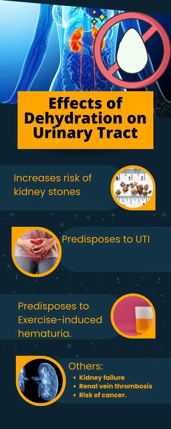 https://doctor-explains.com/wp-content/uploads/2022/12/dehydration-effects-on-Urinary-tract-2.jpg