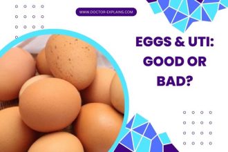 Are Eggs Good or Bad For UTI Patients?