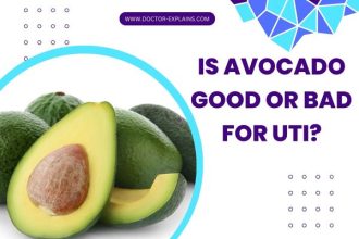 Is Avocado Good or Bad for UTI?